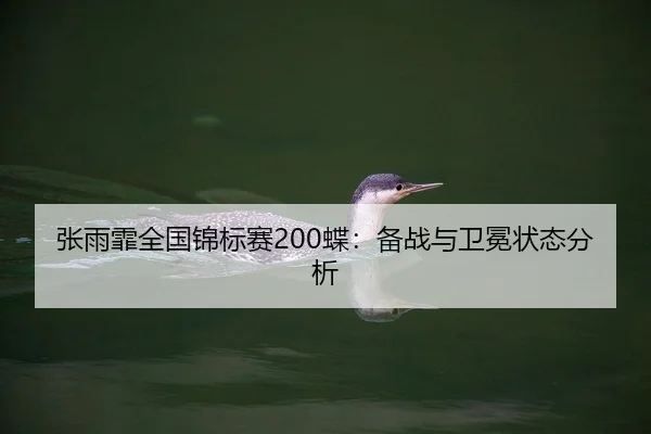 张雨霏全国锦标赛200蝶：备战与卫冕状态分析