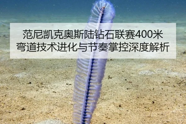 范尼凯克奥斯陆钻石联赛400米弯道技术进化与节奏掌控深度解析